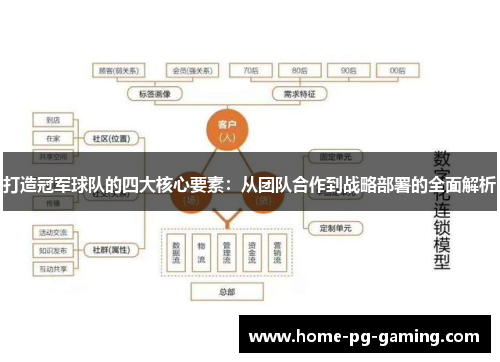打造冠军球队的四大核心要素：从团队合作到战略部署的全面解析