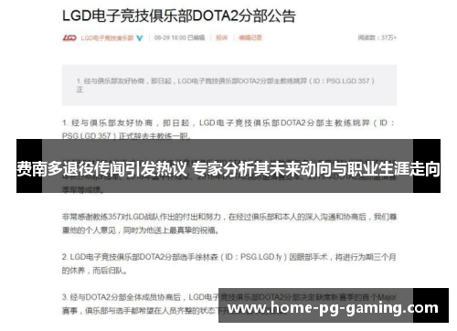 费南多退役传闻引发热议 专家分析其未来动向与职业生涯走向