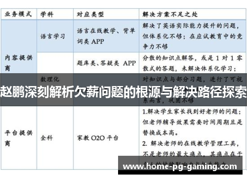 赵鹏深刻解析欠薪问题的根源与解决路径探索