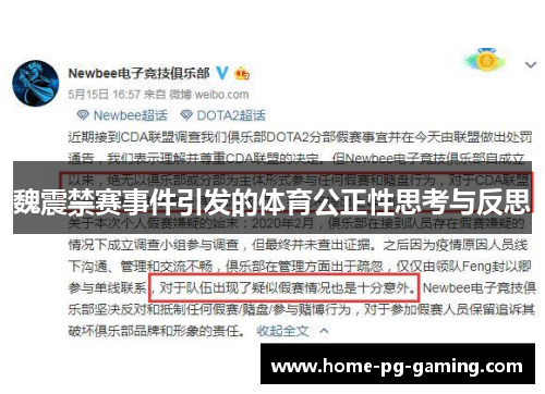 魏震禁赛事件引发的体育公正性思考与反思
