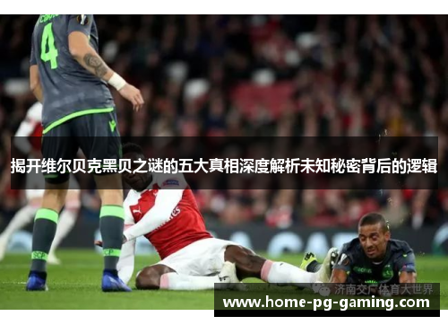 揭开维尔贝克黑贝之谜的五大真相深度解析未知秘密背后的逻辑 揭开维尔贝克黑贝之谜的五大真相深度解析未知秘密背后的逻辑