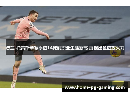 费兰-托雷斯单赛季进14球创职业生涯新高 展现出色进攻火力 费兰-托雷斯单赛季进14球创职业生涯新高 展现出色进攻火力