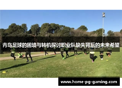 青岛足球的困境与转机探讨职业队缺失背后的未来希望