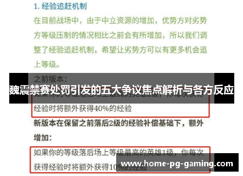 魏震禁赛处罚引发的五大争议焦点解析与各方反应