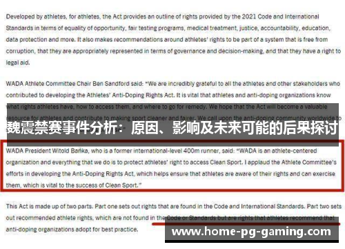 魏震禁赛事件分析：原因、影响及未来可能的后果探讨